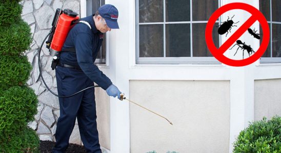 Denizli Bit İlaçlama böcek ilaçlama ve haşere kontrolü — ilaclama-tr.com